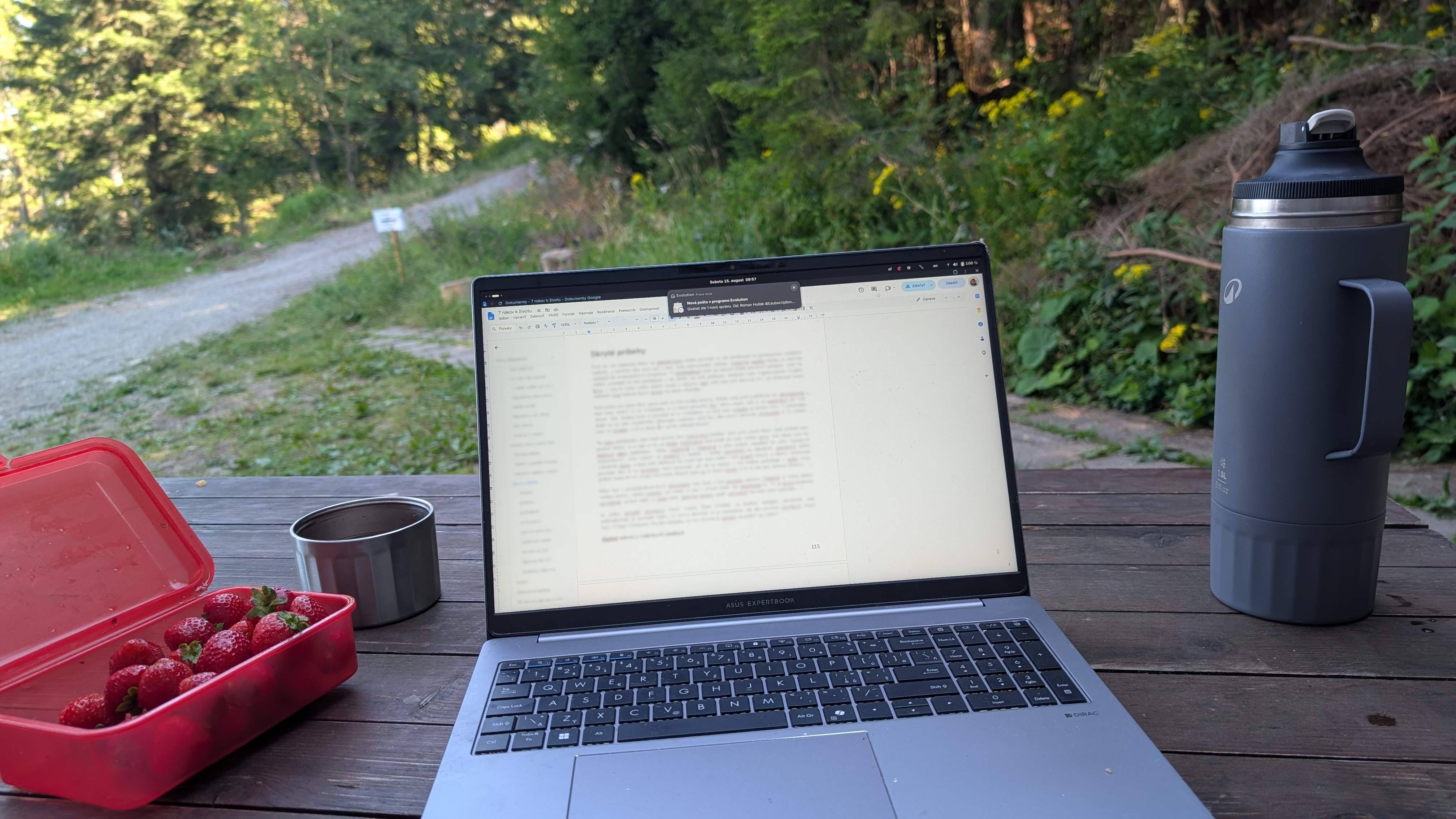 Notebook s rozpísaným textom knihy na drevenom stole na útulni, obklopený jahodami a termoskou.